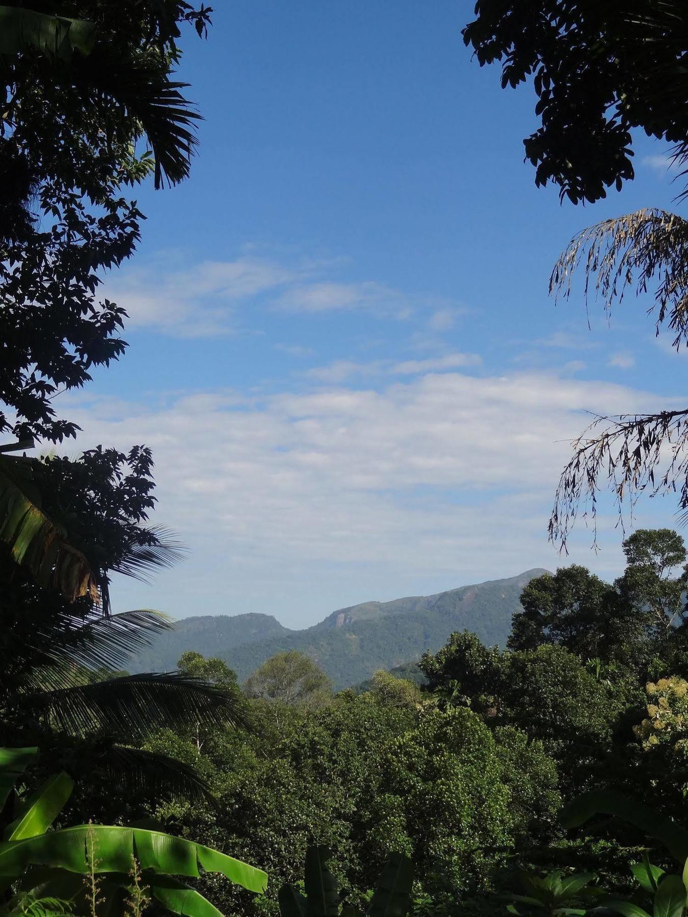 Strathisla Tea Estate Bungalow Matale Exterior photo