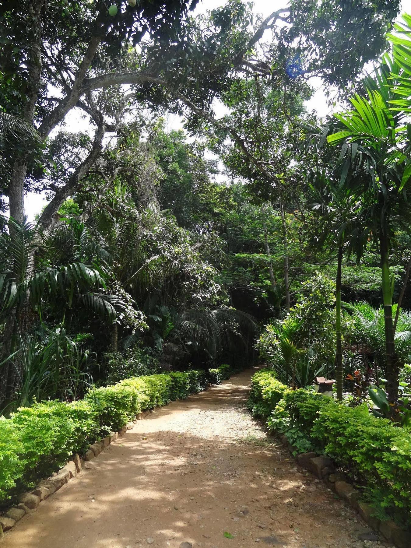 Strathisla Tea Estate Bungalow Matale Exterior photo